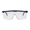 8153_Schutzbrille Speed mit Seitens_1.jpg