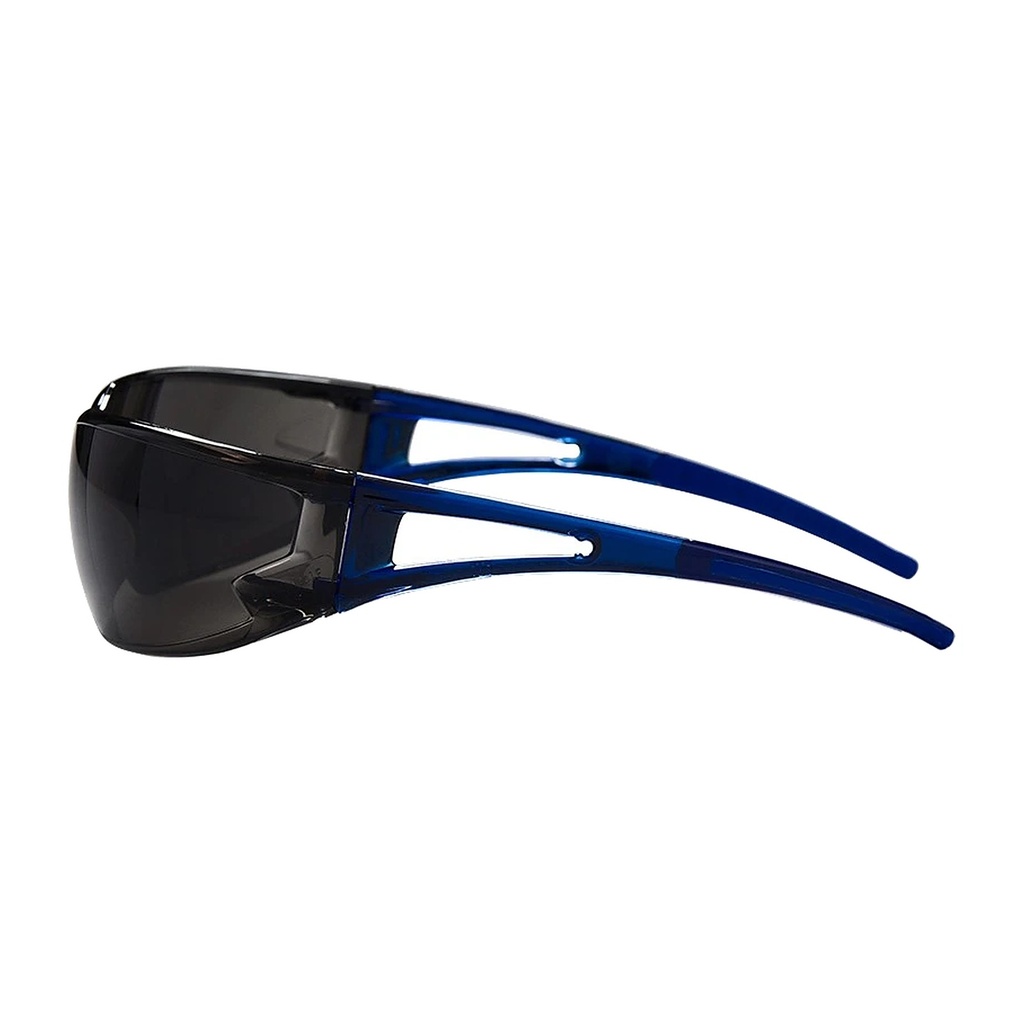 8355_Schutzbrille Fusion getönt bes_1.jpg