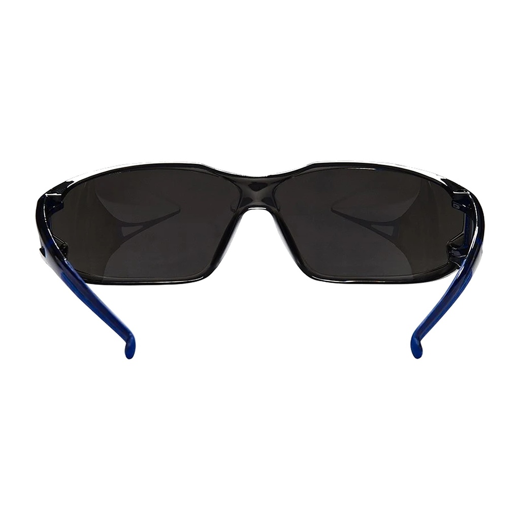 8355_Schutzbrille Fusion getönt bes_3.jpg